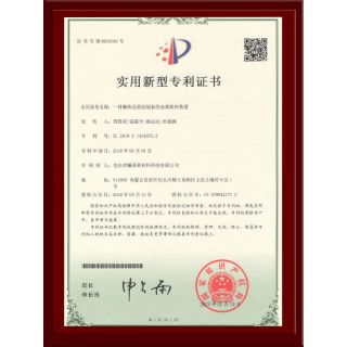 專(zhuān)利證書(shū)